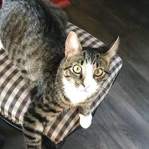 Meet your Posher, Amanda